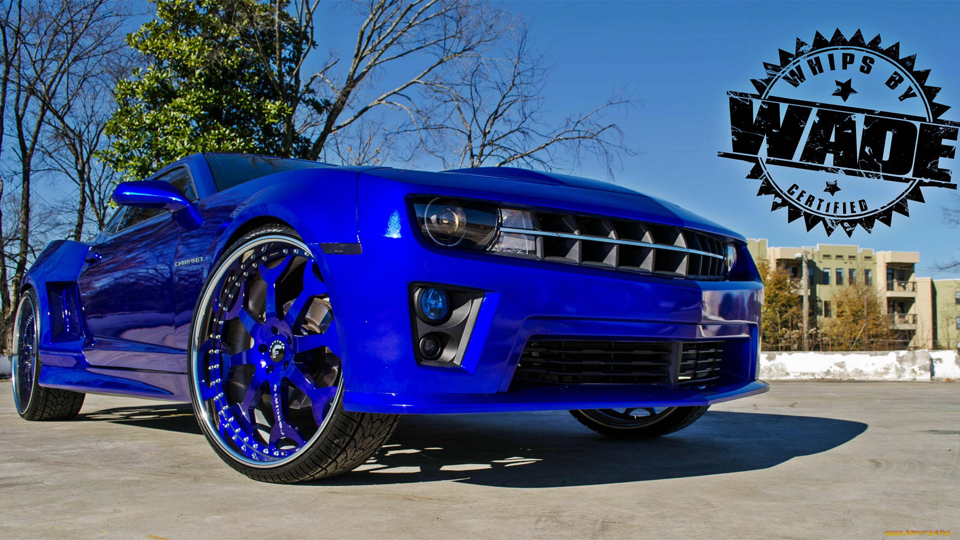 , camaro